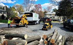 Best Lawn Drainage Solutions  in Northlake, TX